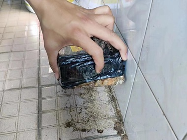 西樵白蚁备案站——室内白蚁诱杀箱的核心作用